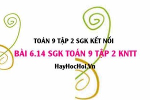 Bài 6.14 SGK Toán 9 tập 2 Kết nối tri thức